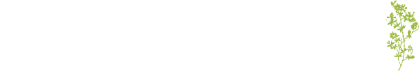 Experience image